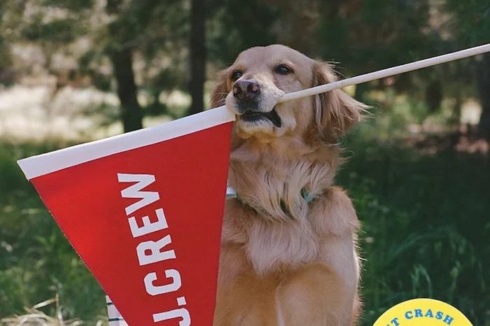 J.Crew is Hiring a Jr Copywriter (NYC/hybrid)