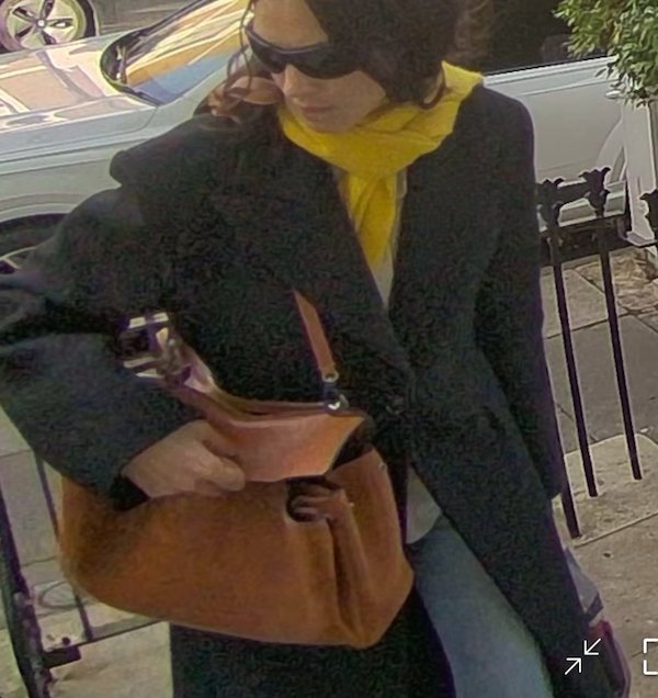 Alexa Chung camera fits
