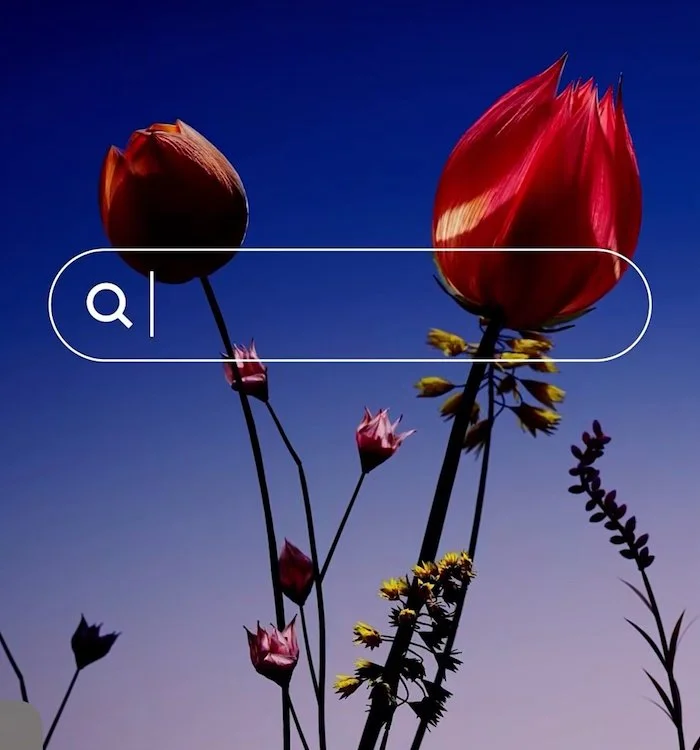 Made with Squarespace