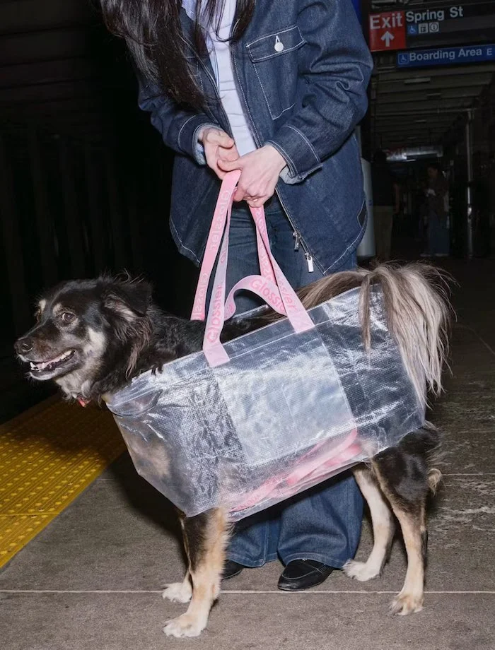 glossier errand bag