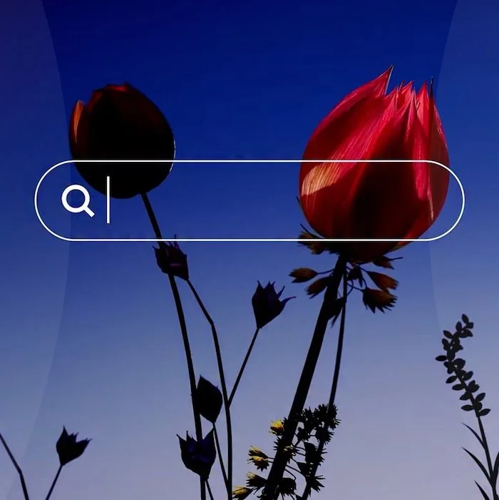 Create your website on Squarespace