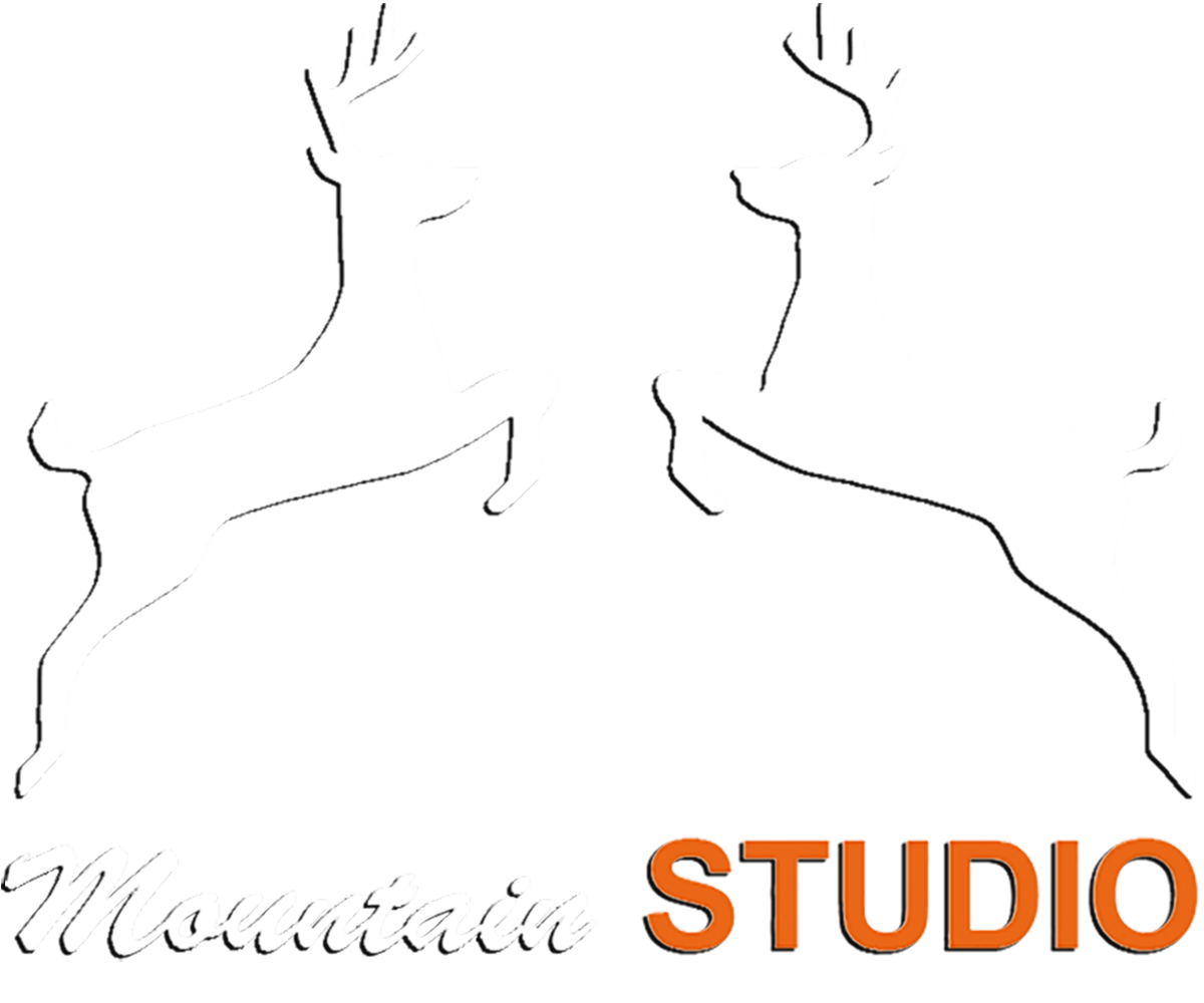 Mountain Studio Design