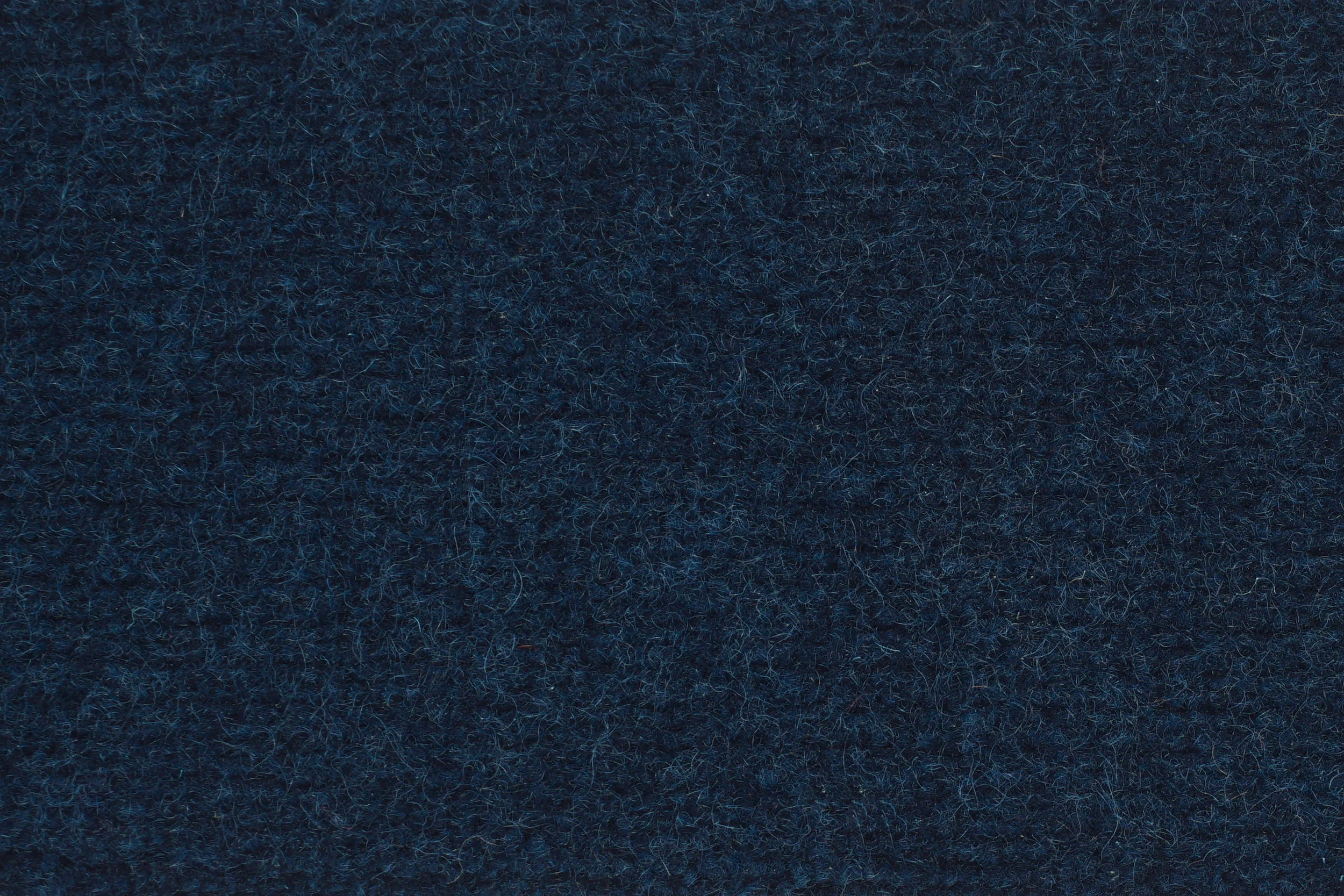 DSC05281.jpg