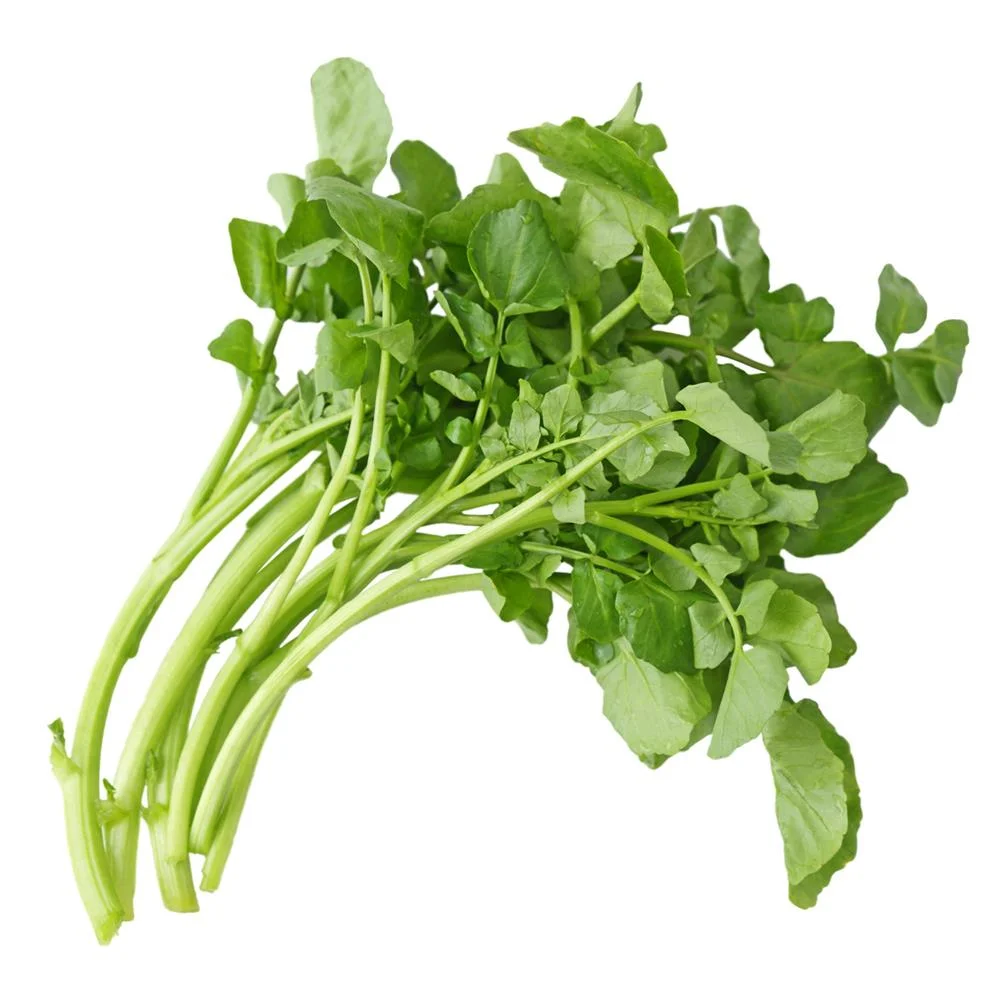 Agriao.jpg