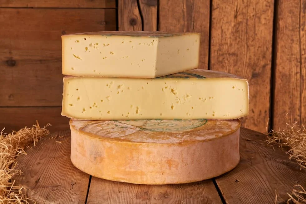 fontina1.jpg
