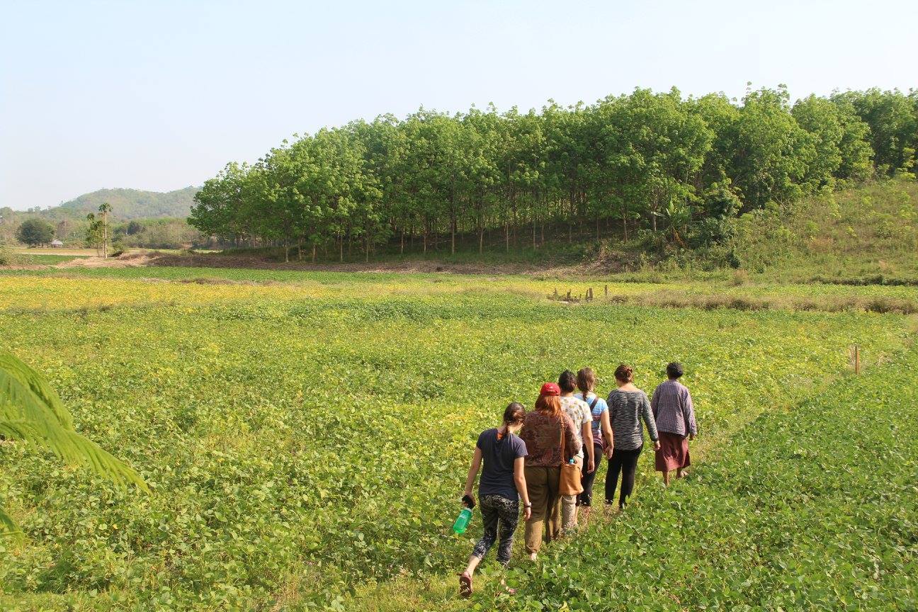 CIEE Khon Kaen students tour the soy bean fields to learn about villagers' way of life and the contamination from the gold mine. 