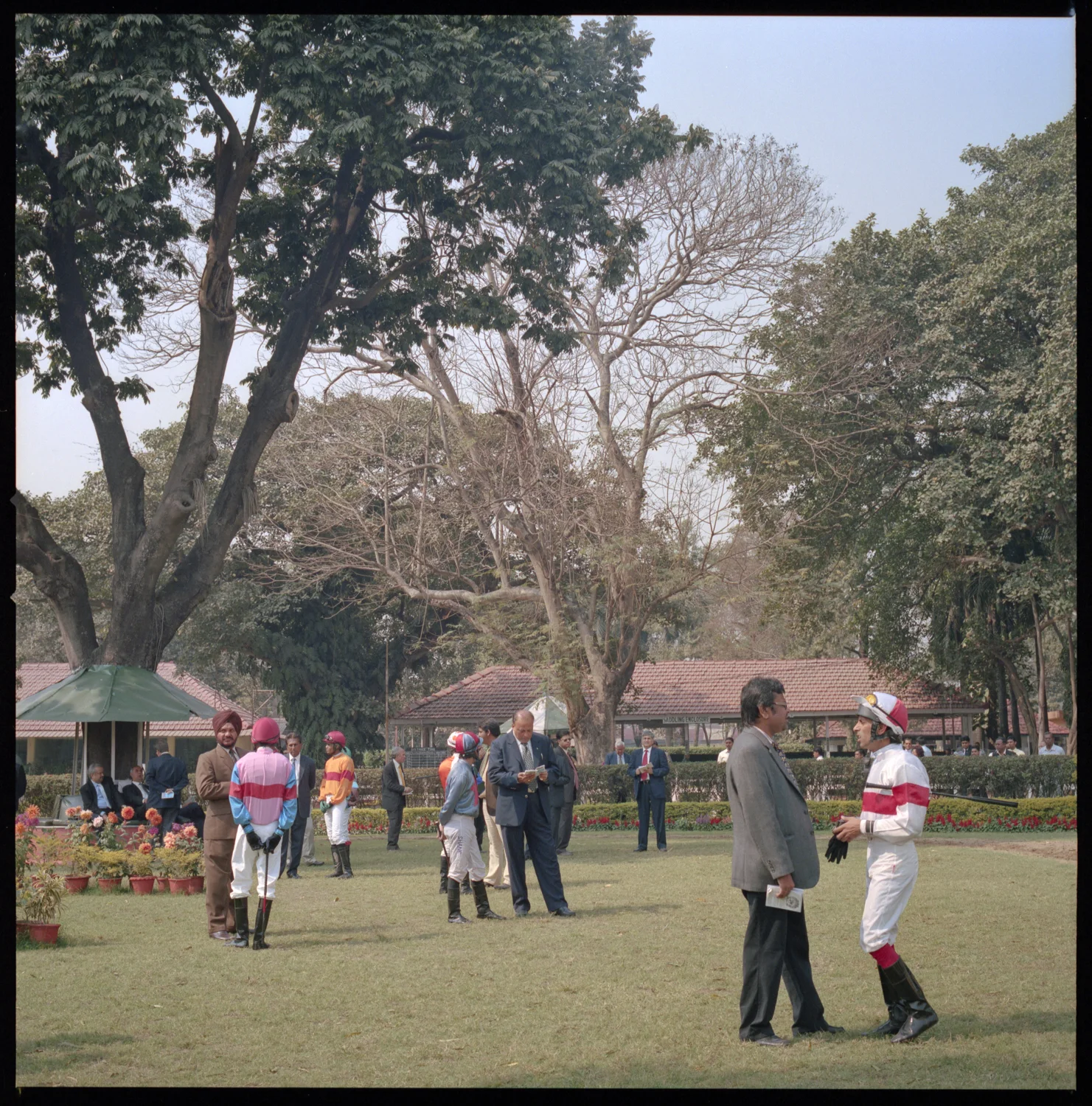 calcutta-turf-thomas-van-den-driessche--3.jpg