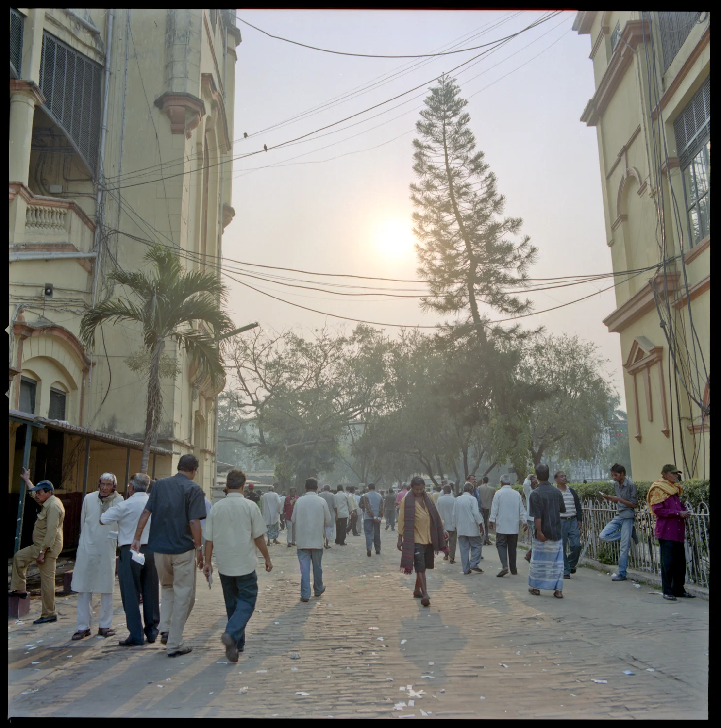 calcutta-turf-thomas-van-den-driessche-2.jpg