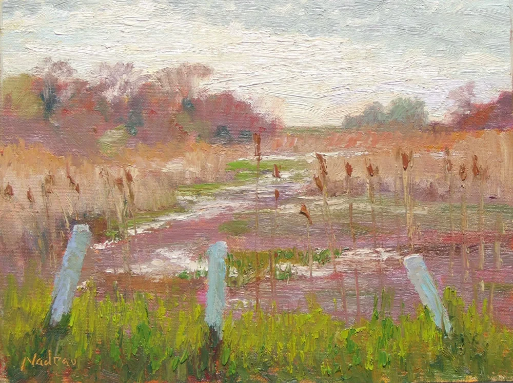 Morning Marsh Edge, Ft Hill 9x12_O_1000.jpg