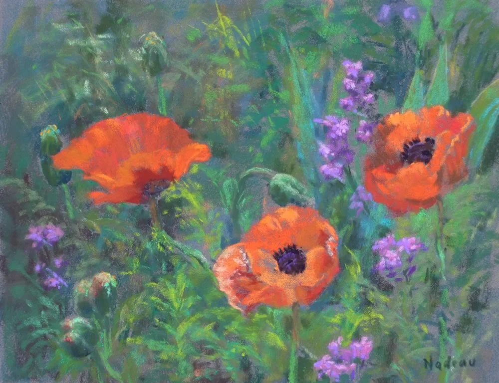 JunePoppies_11x14_P_1100.jpg