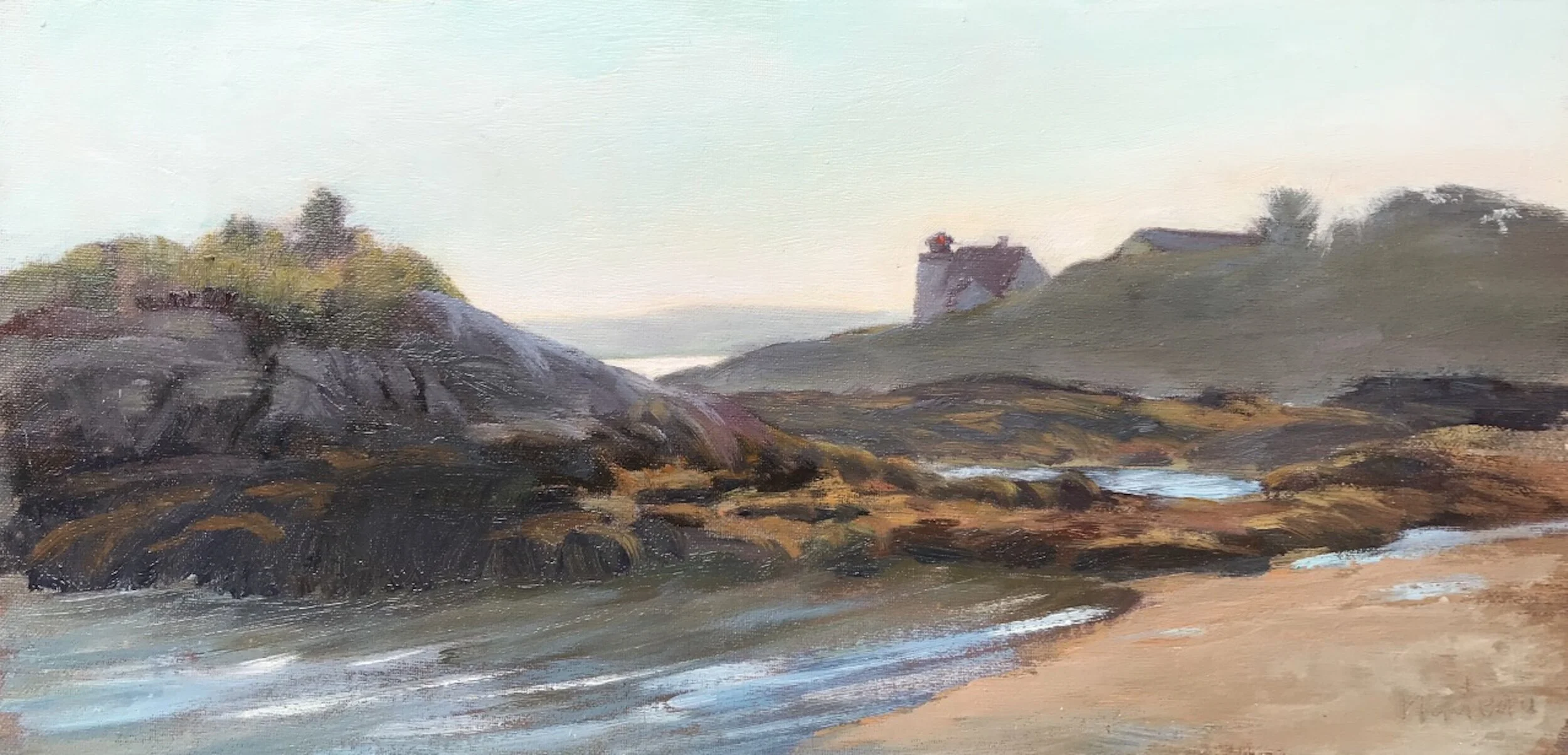 RockyShore_8x16_OmC.jpg