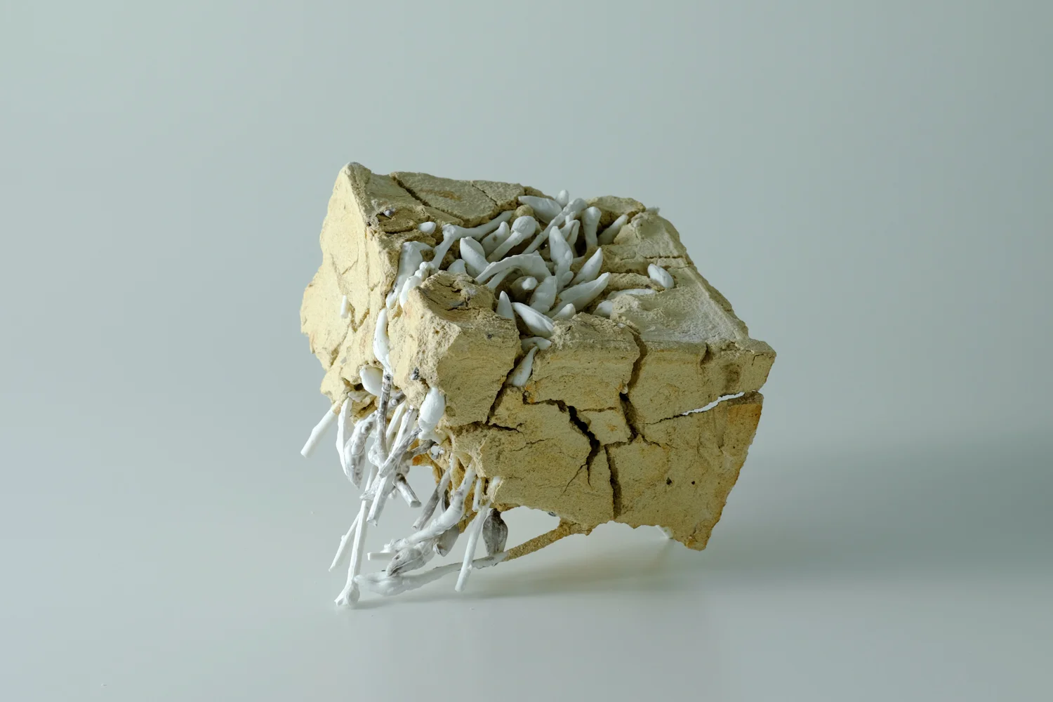 teohueymin_polarities01.jpg