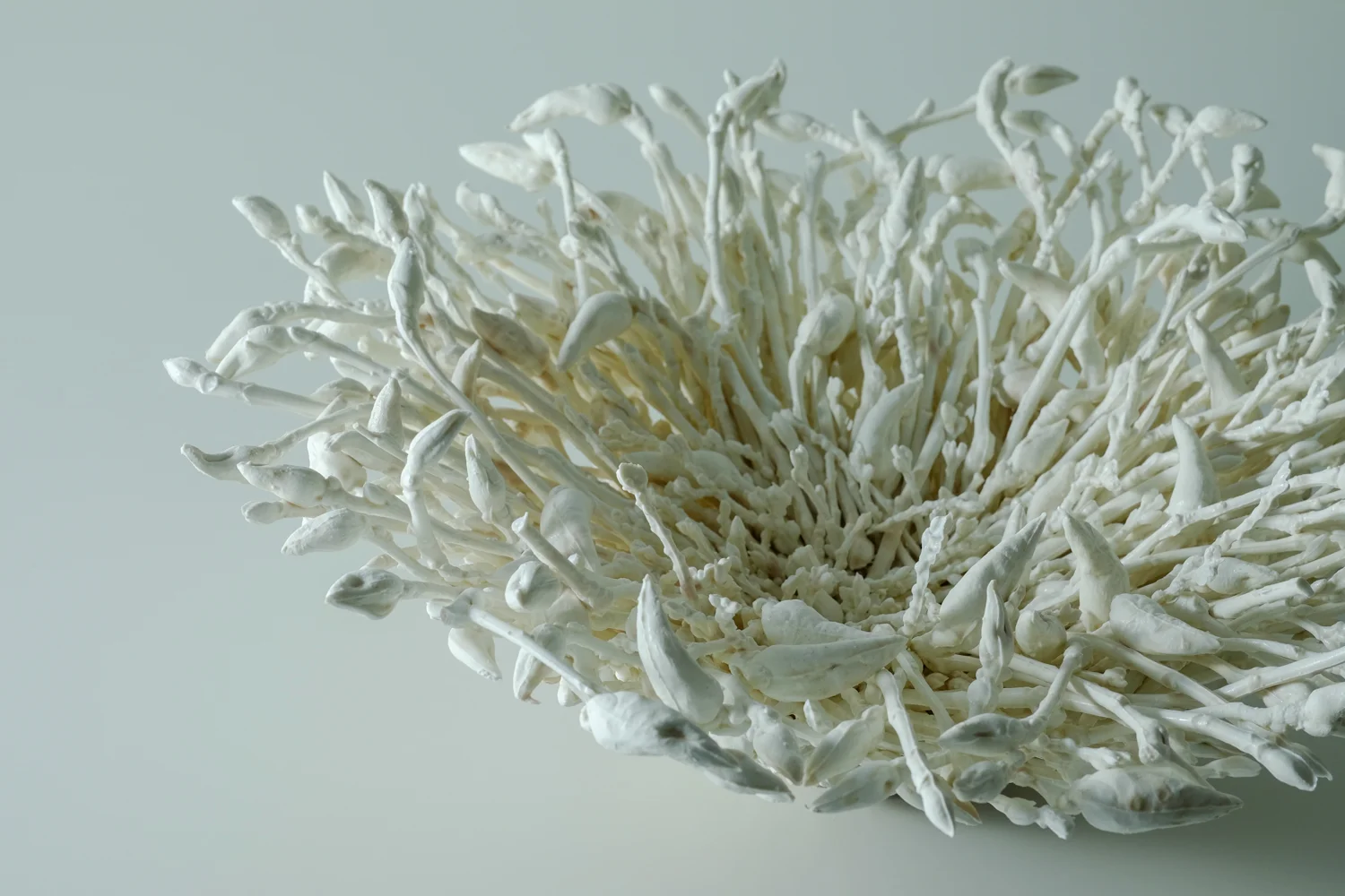 teohueymin_homing(closeup).jpg
