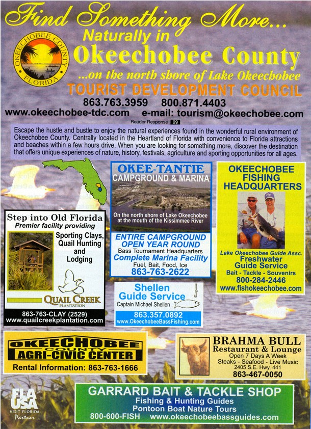 Schlechtes Beispiel eines Newsletters. Quelle: nawazpoweregd.wordpress.com