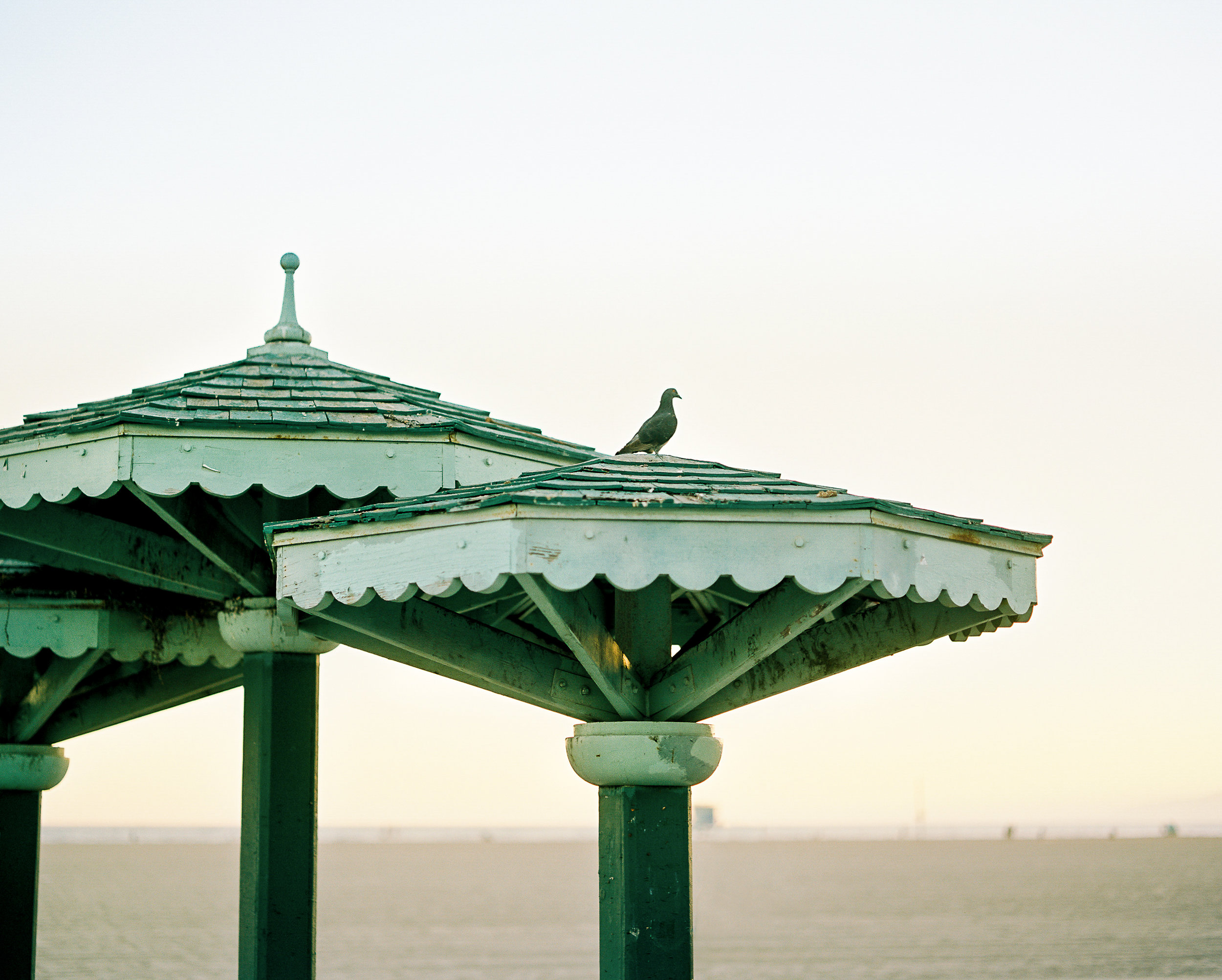 Pigeon Spire
