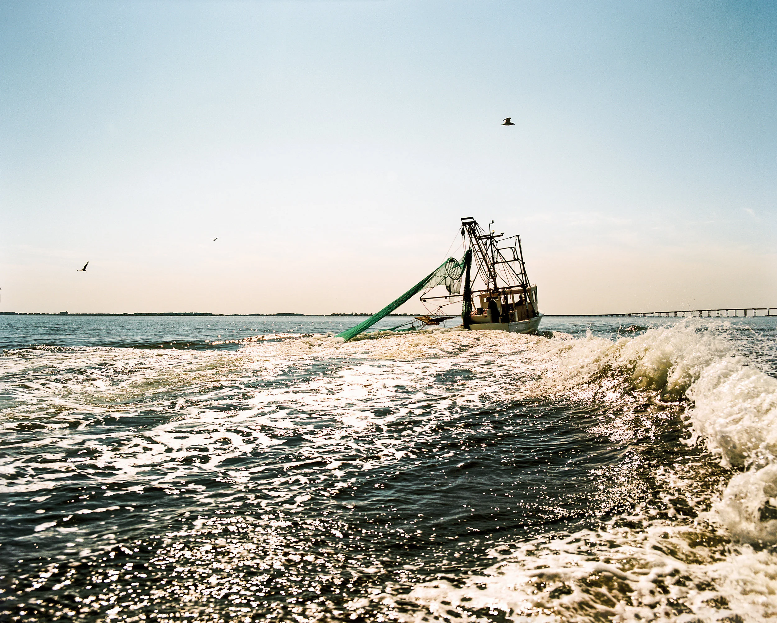 Fisherman Trolling Albemarle Sound