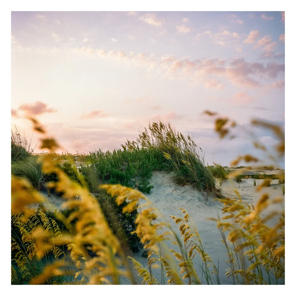 OBX scenes on Portra 800.

#mamiya6 #portra800 #thefindlab