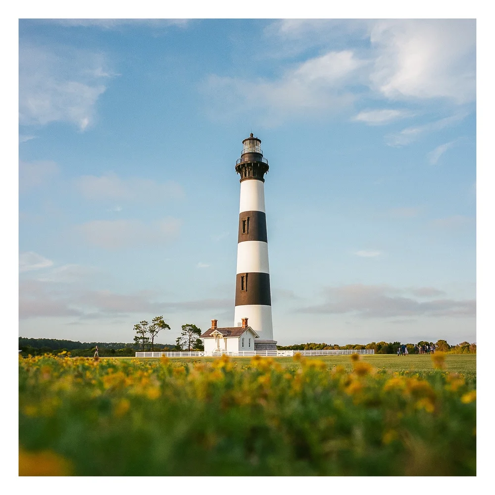 Bodie in bloom.

#mamiya6 #portra400 #thefindlab