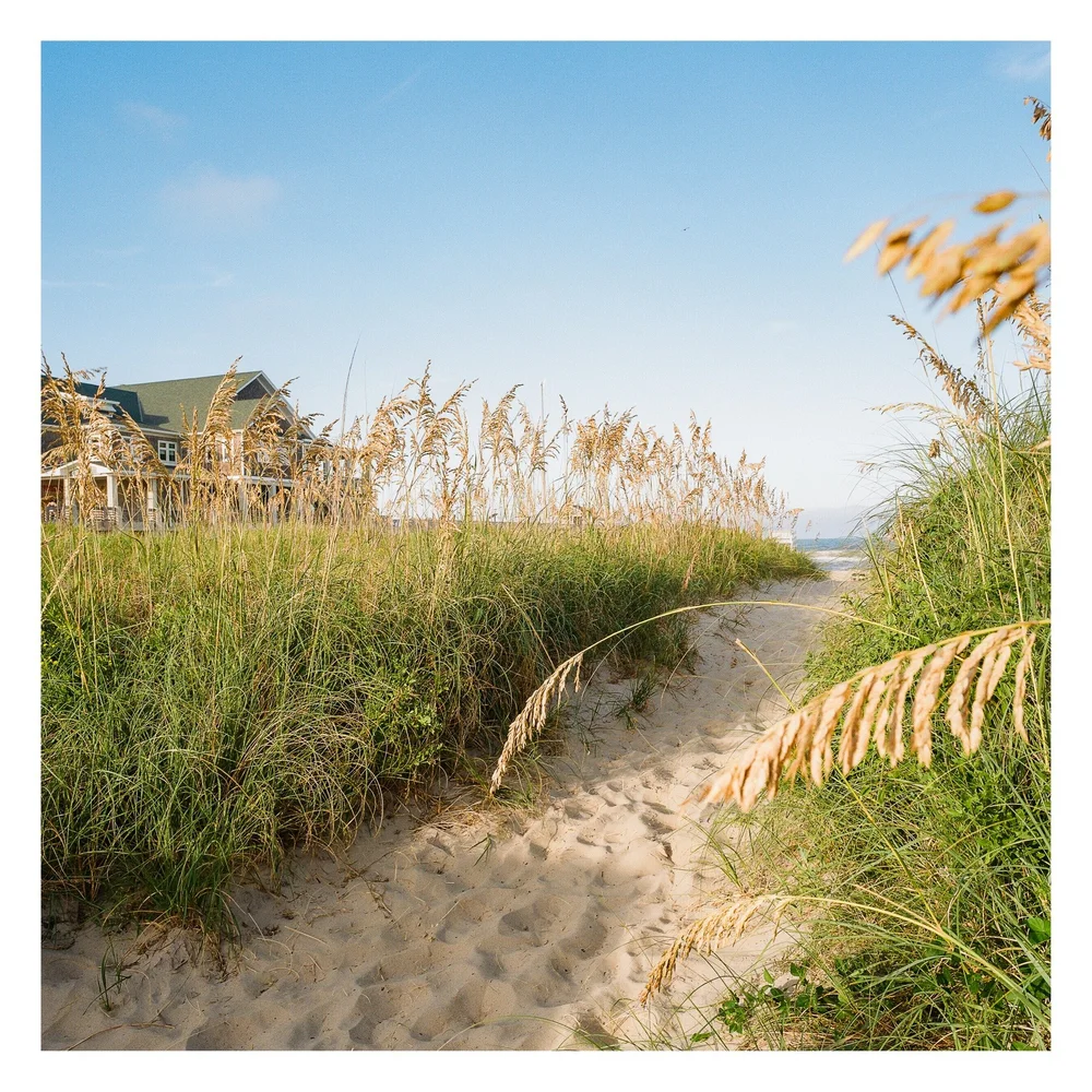 My first roll of Kodak Gold 200, hot damn I might be a convert.

#mamiya6 #kodakgold200 #thefindlab