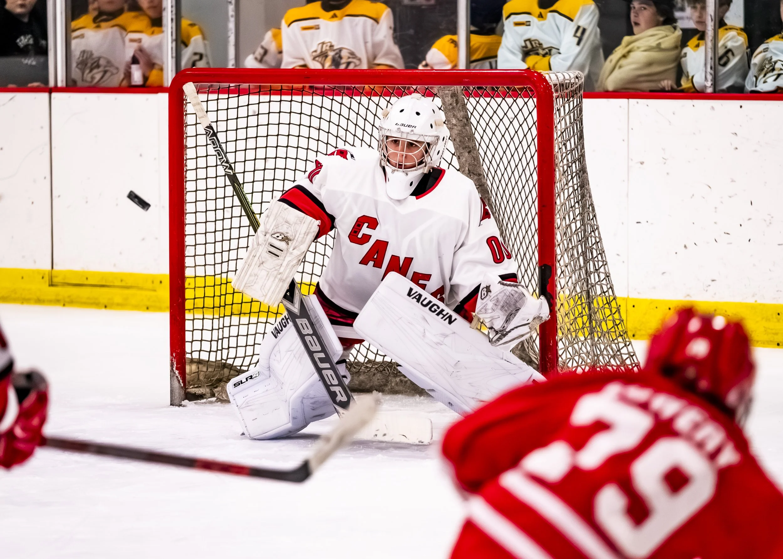 Nashville Game 3-55.jpg