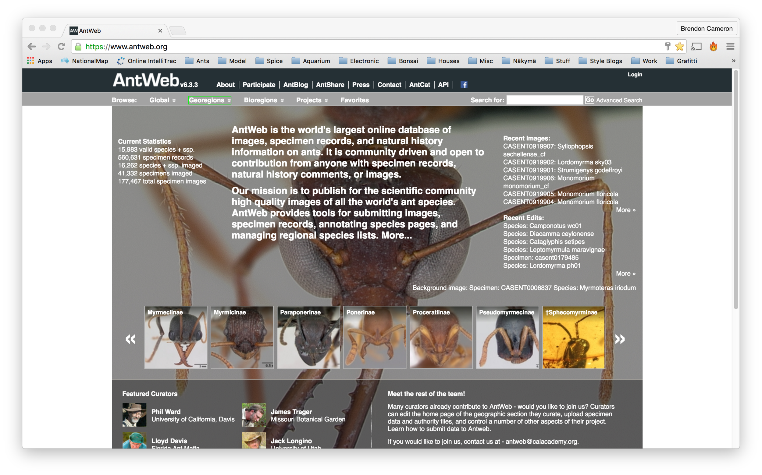 www.AntWeb.org