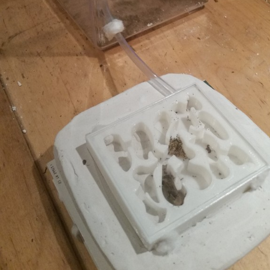 3D Formicarium 4.png