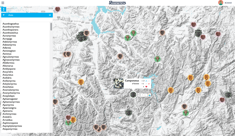 Map Page - Ants annotations 2.png