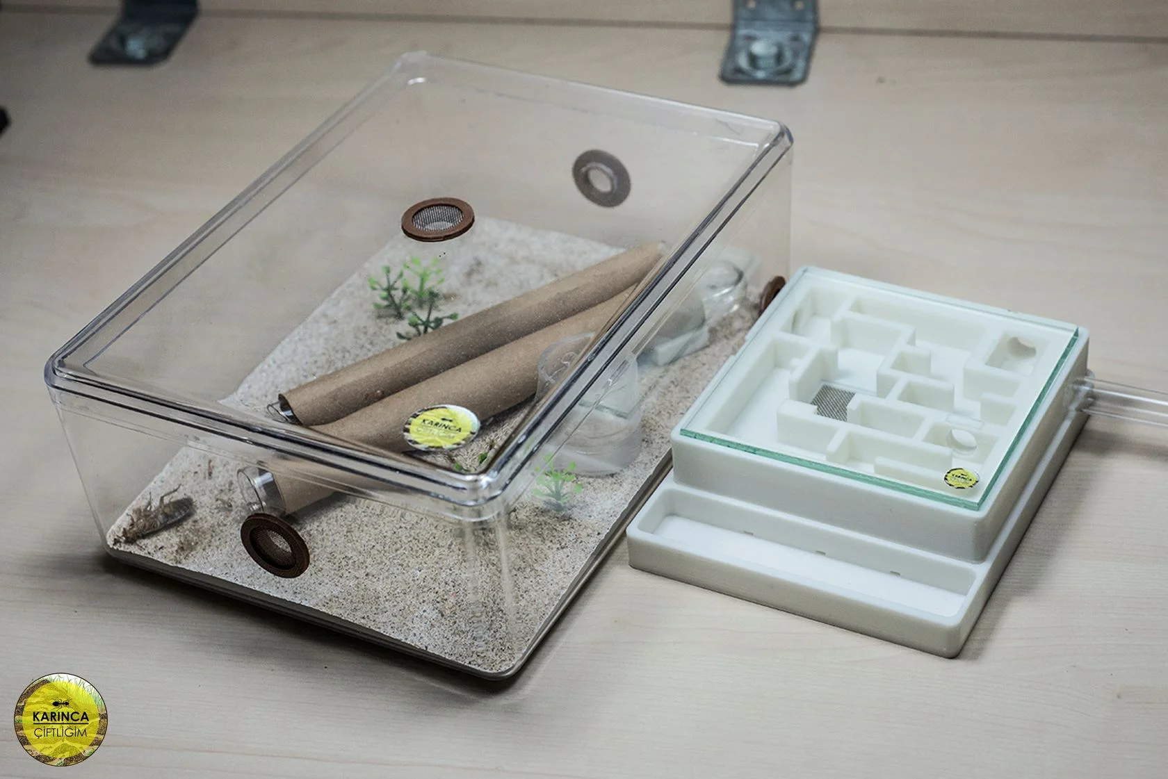 Turkish Builder Karınca Çiftliğim Shows Off  New Formicarium