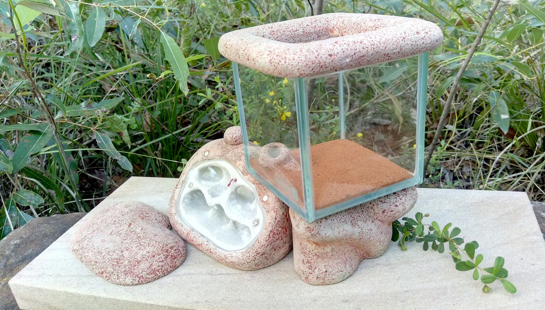 Check Out "The Geode"