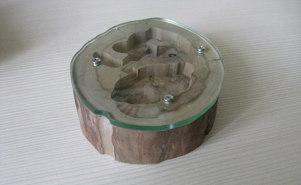 Wood Founding Formicarium from Ant USIKI