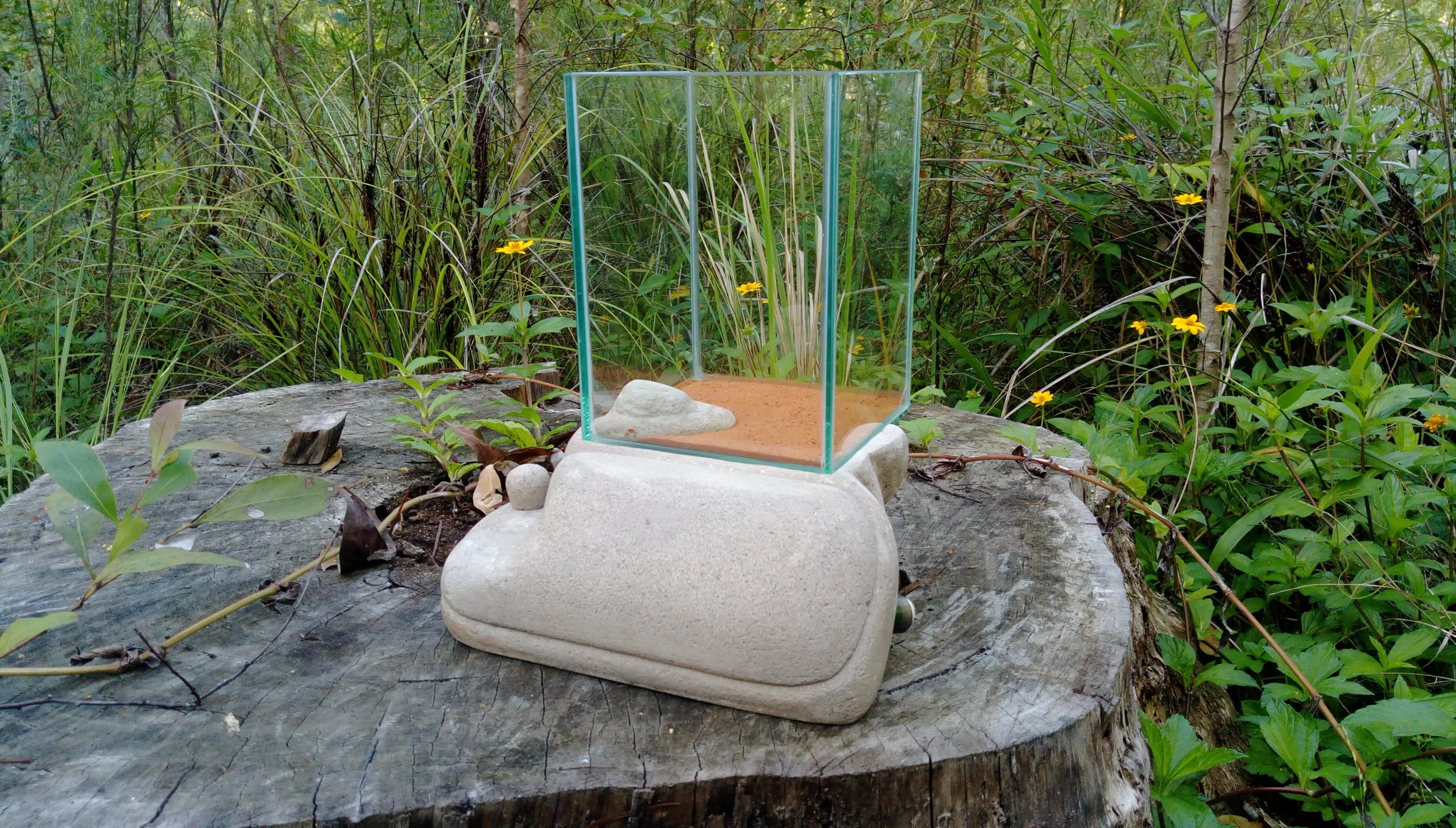 The Crustacean Business District