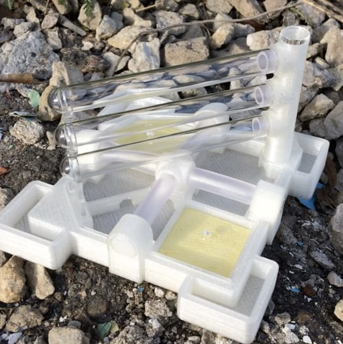 New Nest Module From AntsRussia