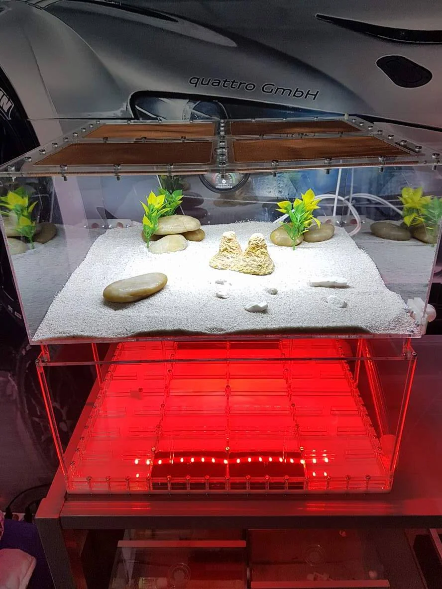 A Great Formicarium From Jakub Golonka