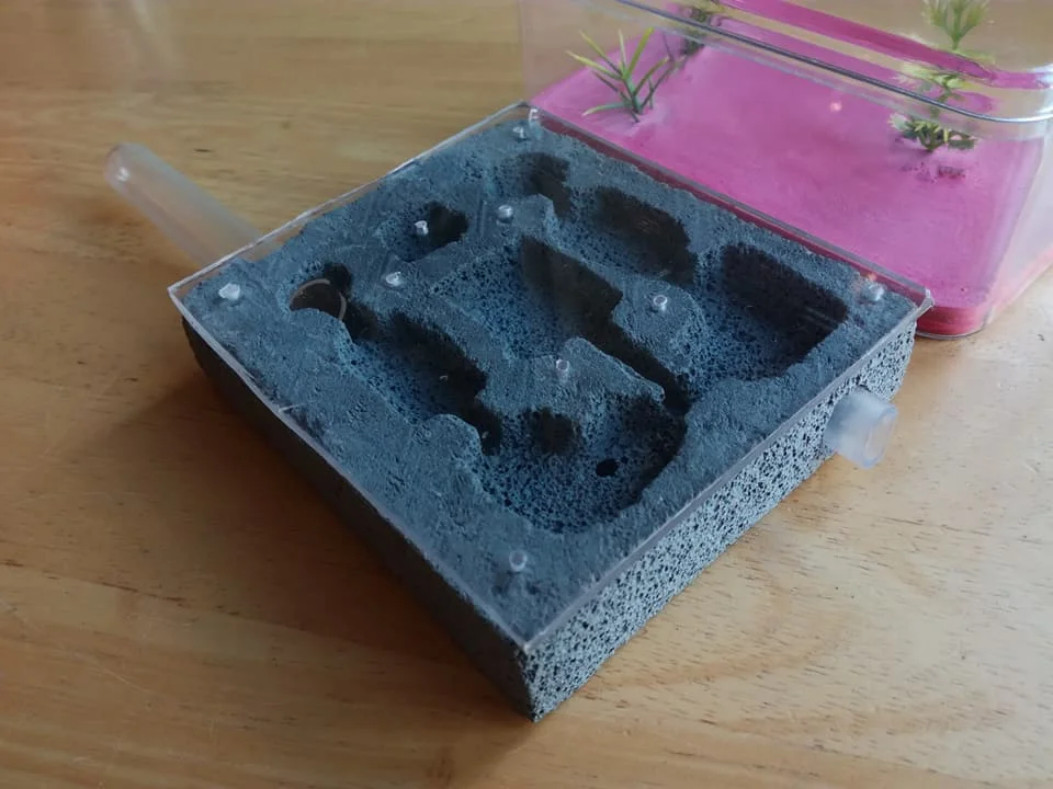 A Formicarium Carved With Only A Screwdriver