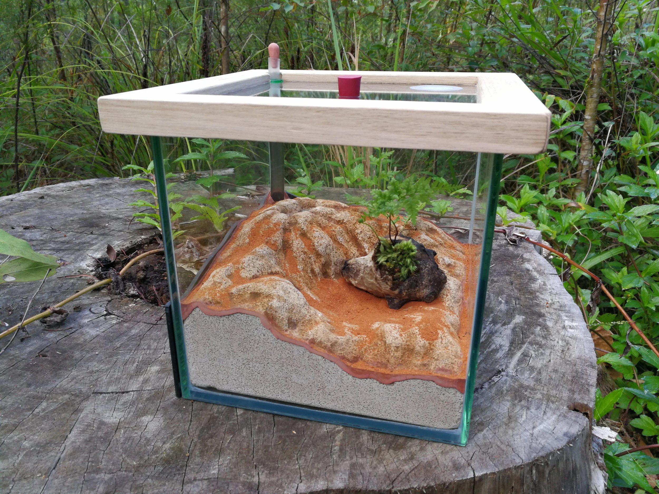 Vesuvius The Sleeping Volcano