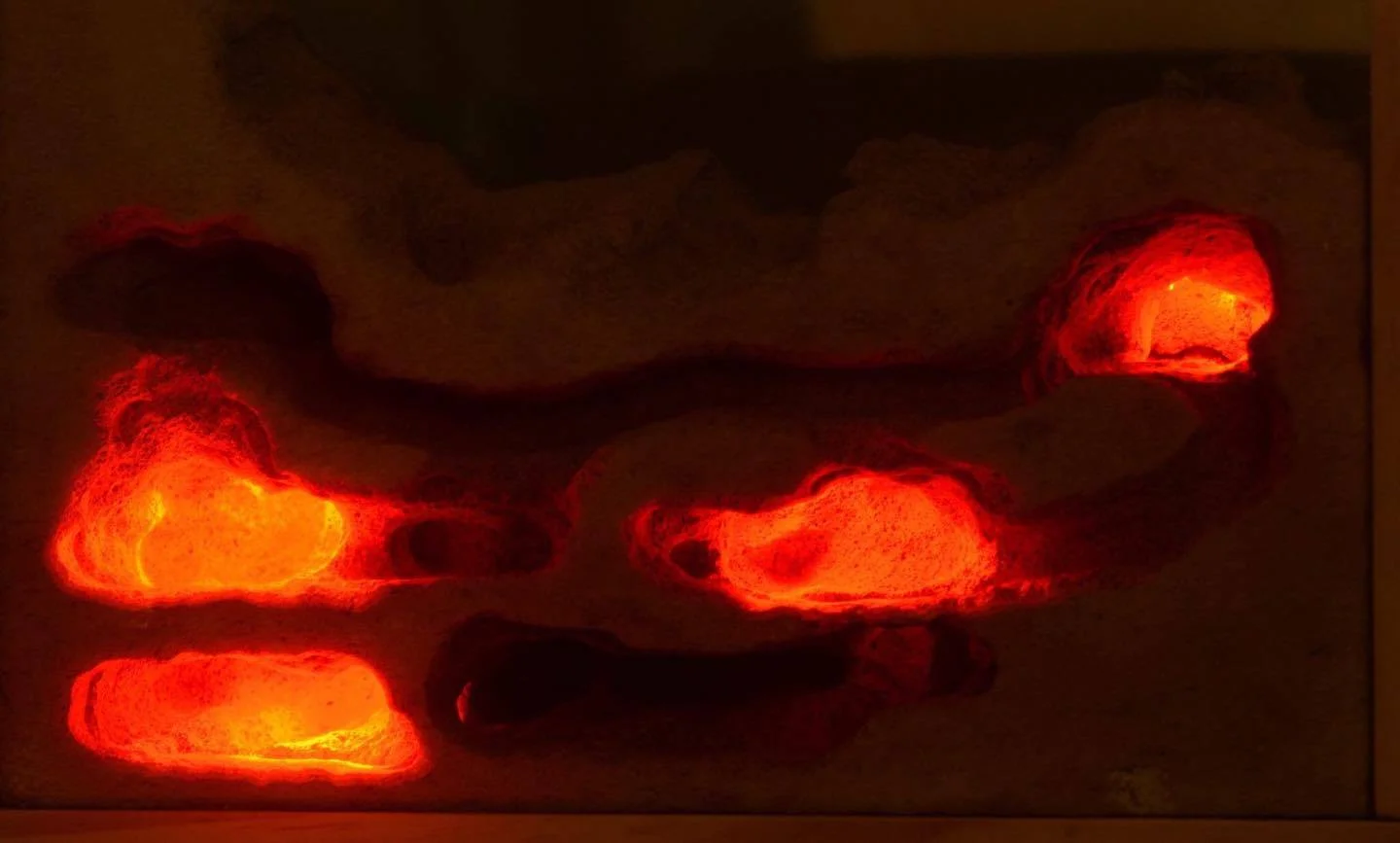 Formicarium Designed With Internal Lighting