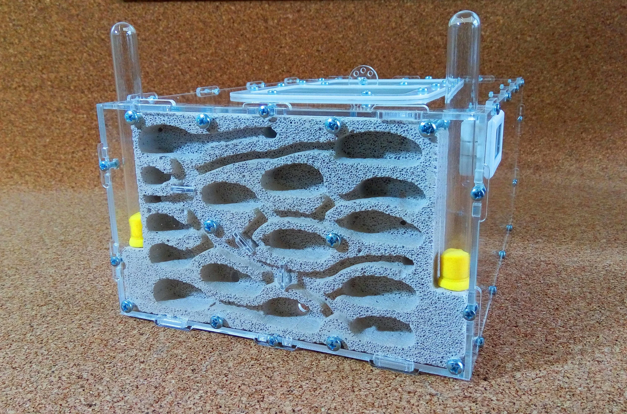 Brand New Formicariums From AntsRussia — Gamergate