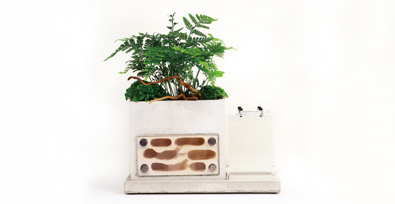 A Potted Plant Formicarium From Empire Of Ants