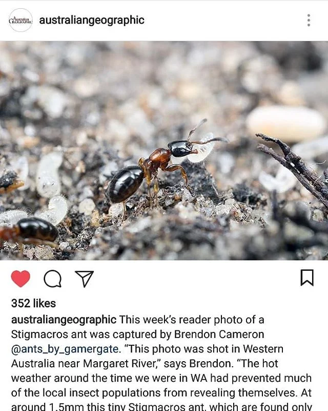 Thanks for the feature @australiangeographic. Love your work!