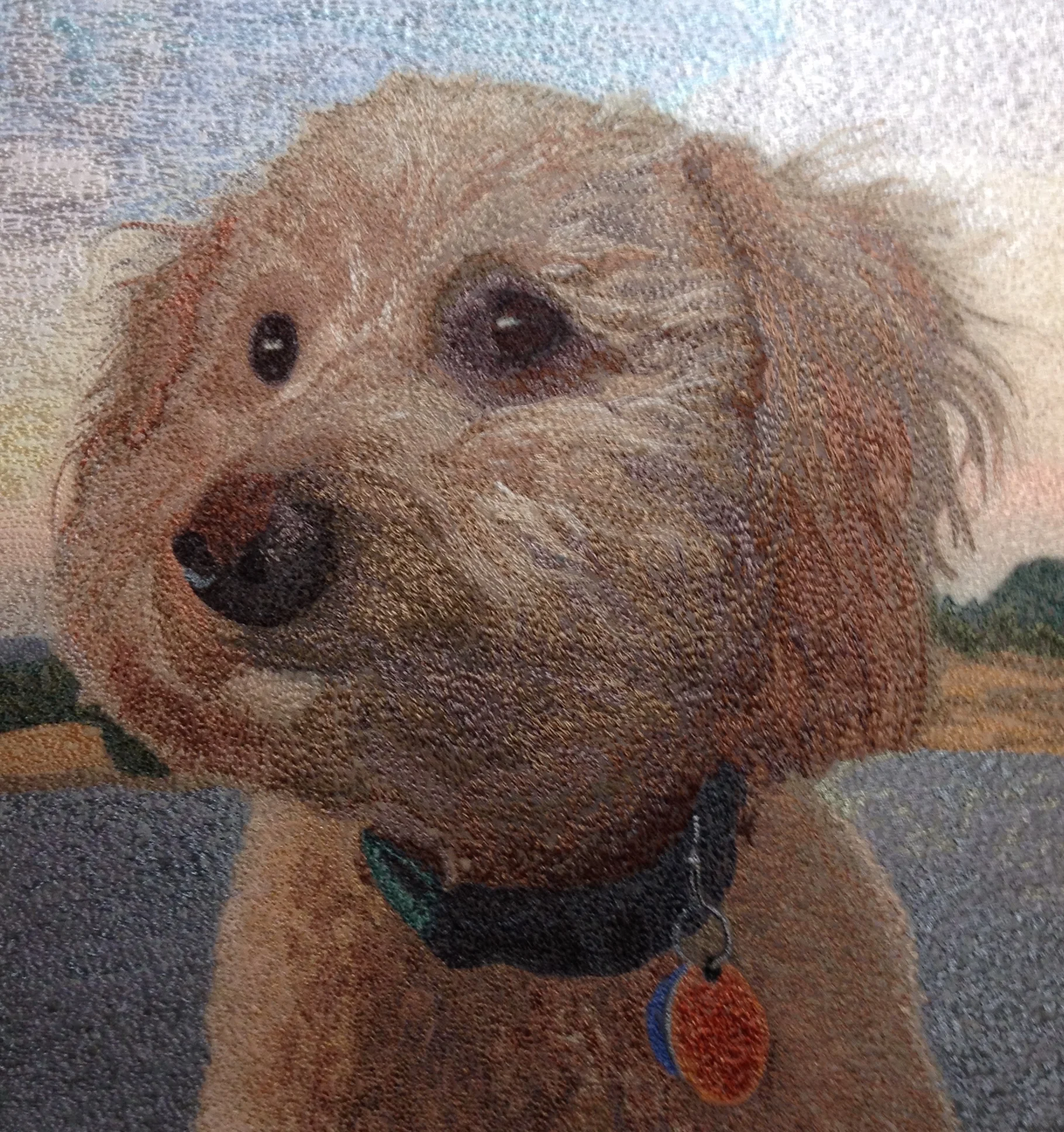 Charlie, photo by Bill Mollon
