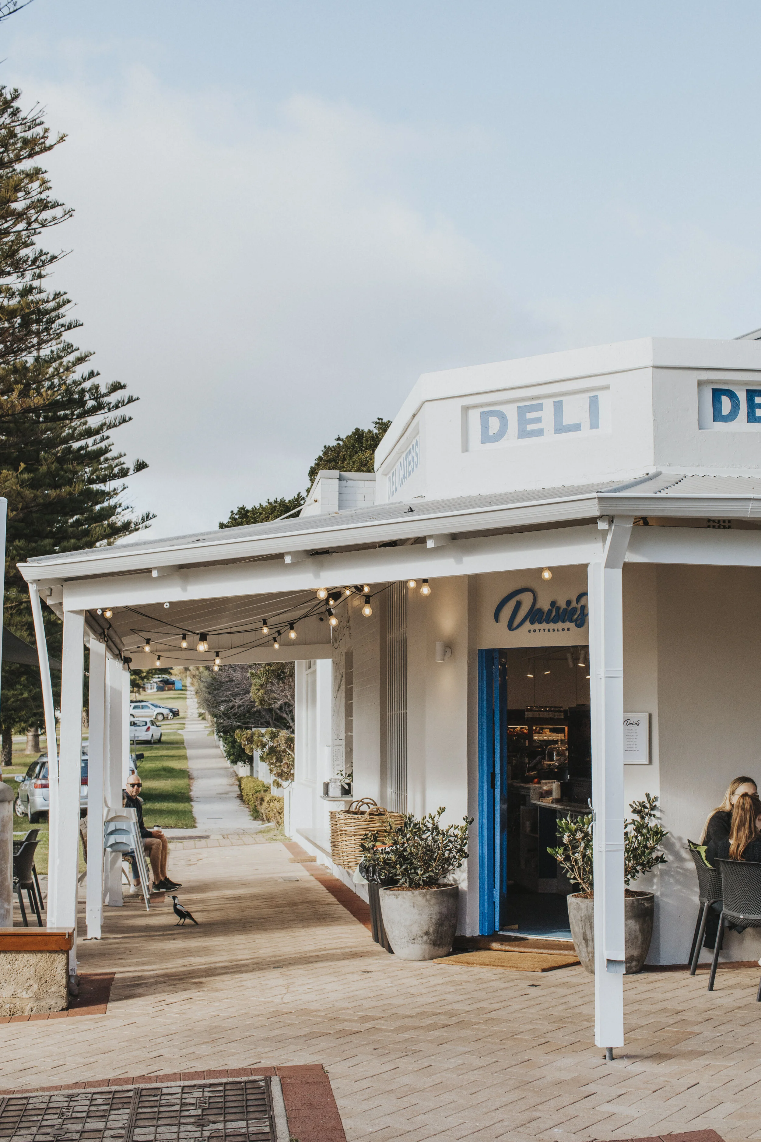 Daisies Cottesloe Cafe Shop Online