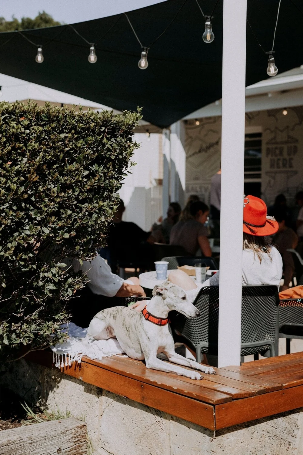 Daisies Cottesloe Iconic Cafe, Deli & Corner Store