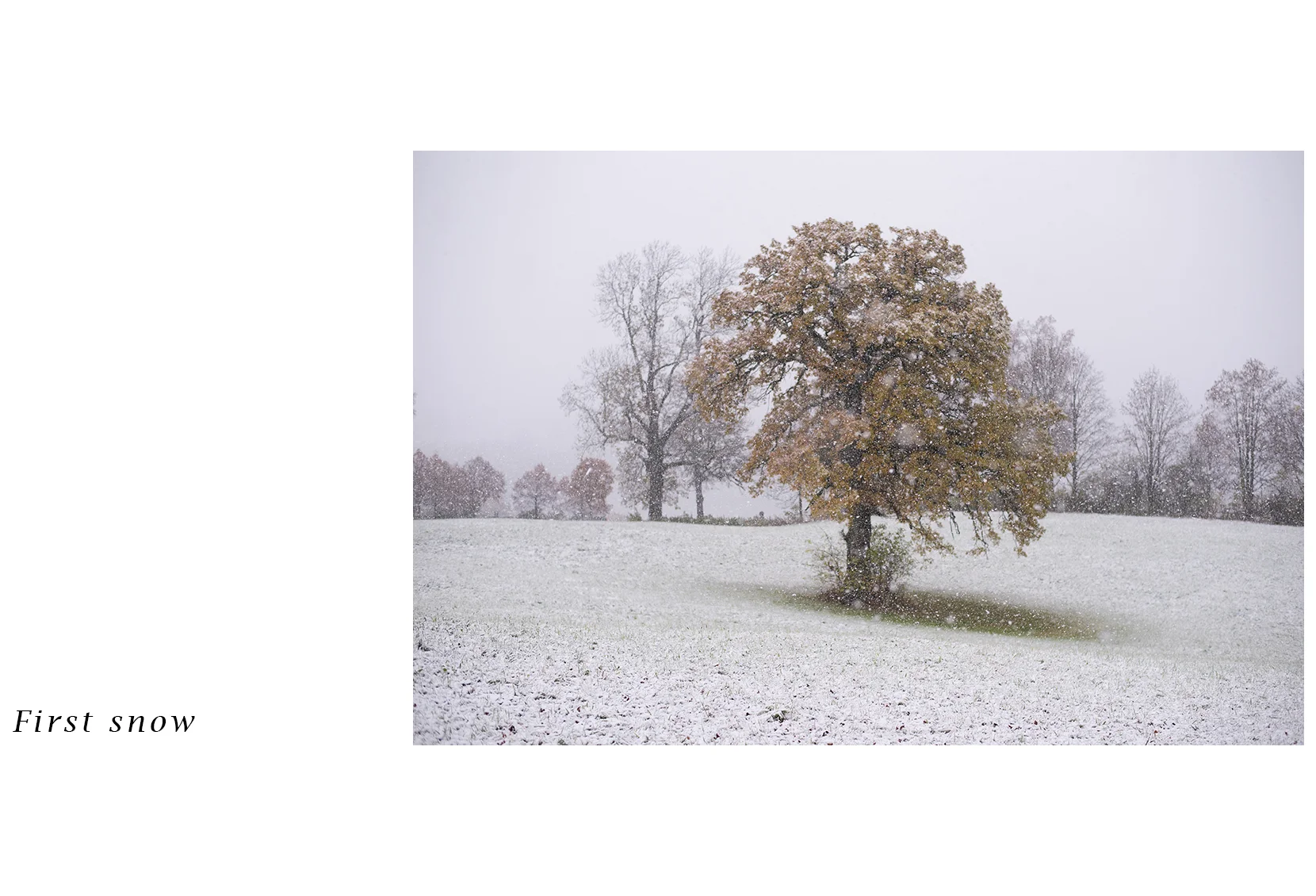 ElenaTyutina_First Snow_01.jpg