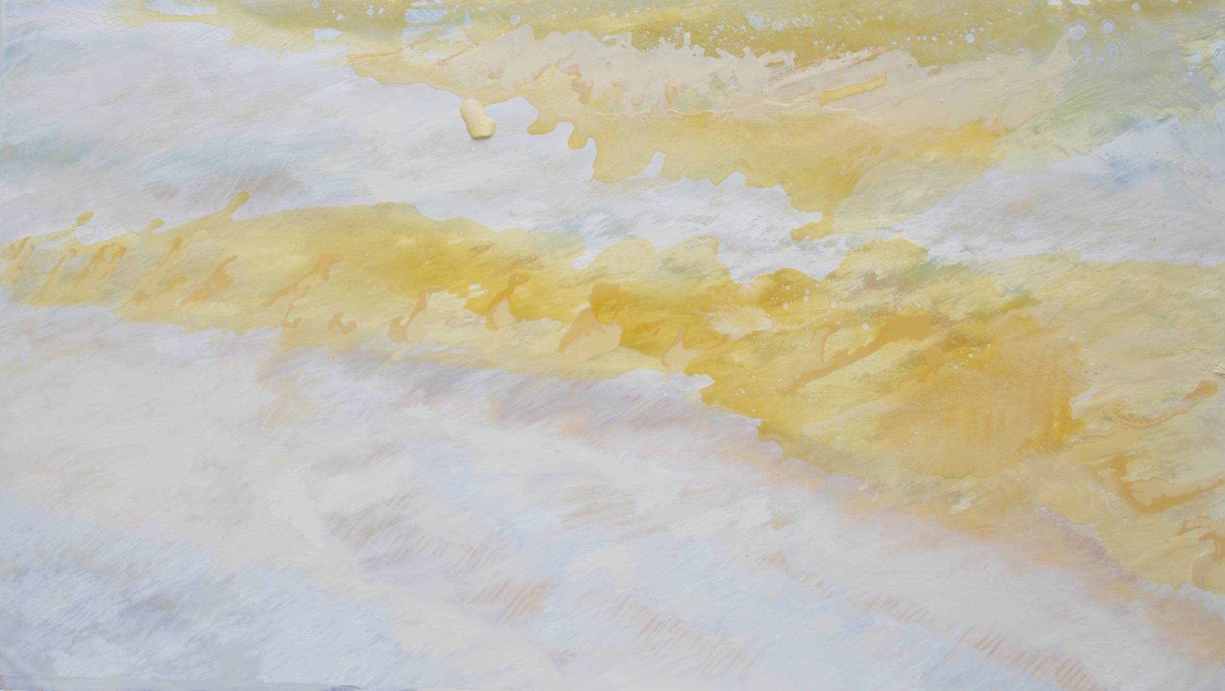 DSC_5100 - Version 2.jpg