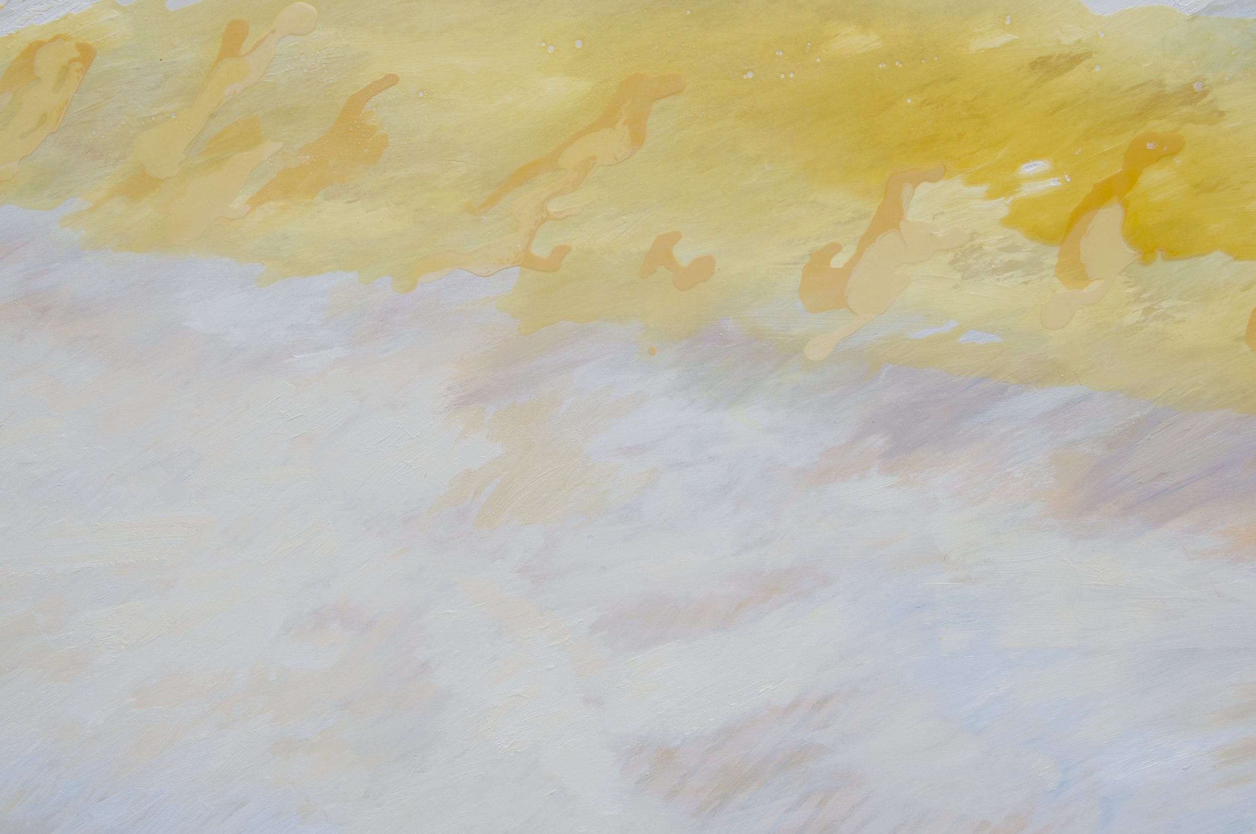 DSC_5102 - Version 2.jpg