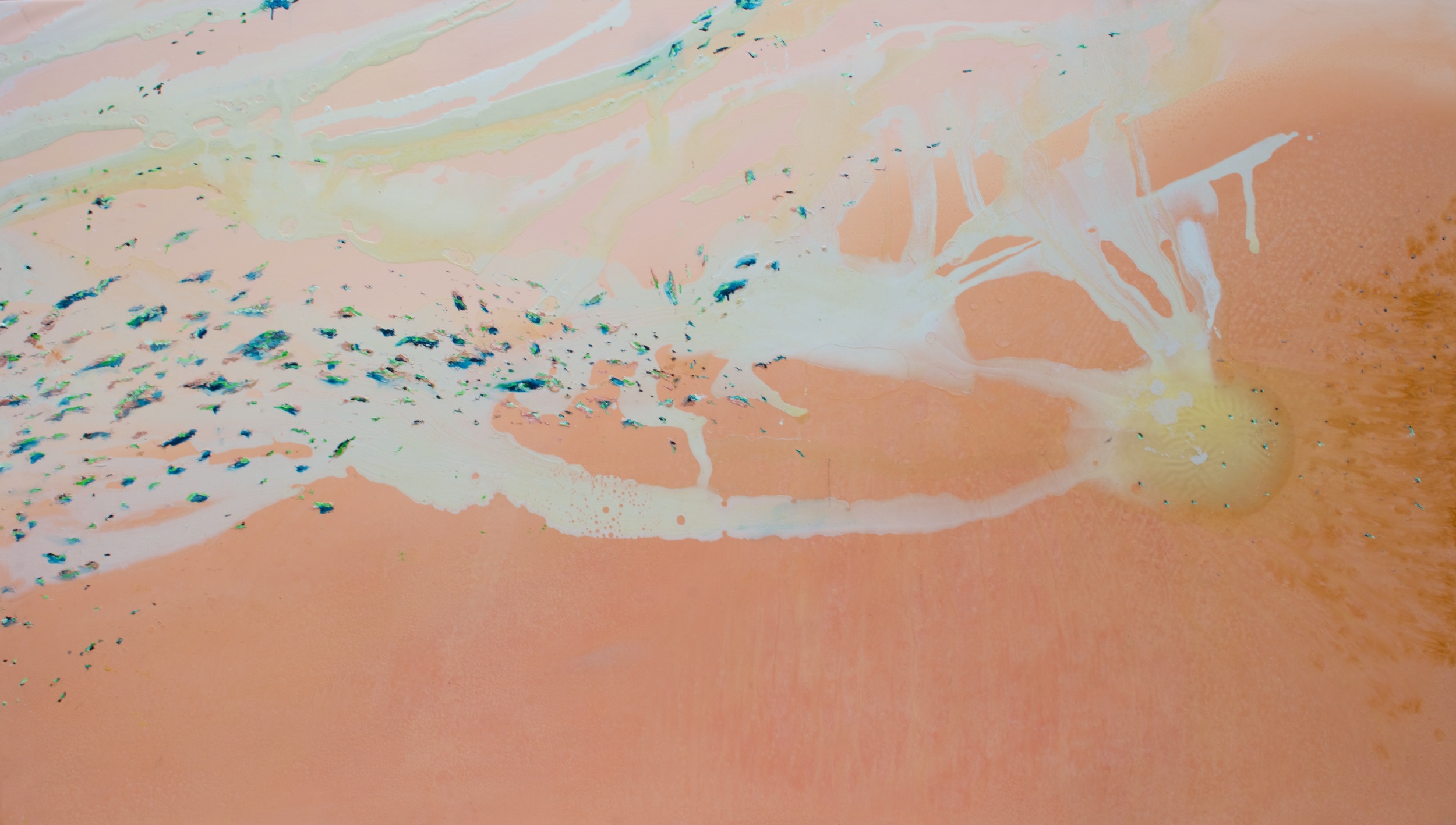DSC_5106 - Version 2.jpg
