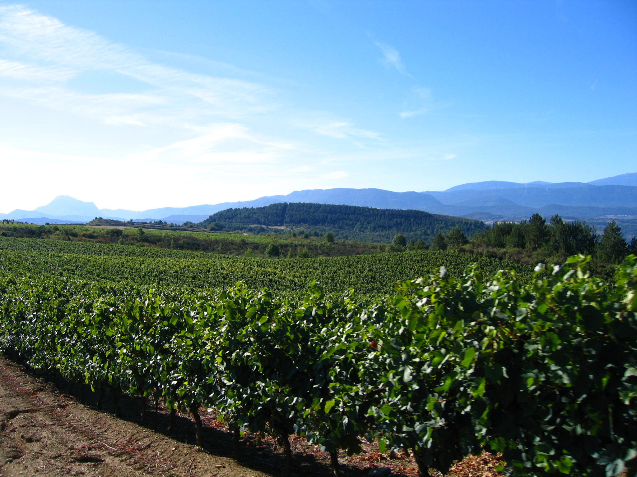 Limoux - France