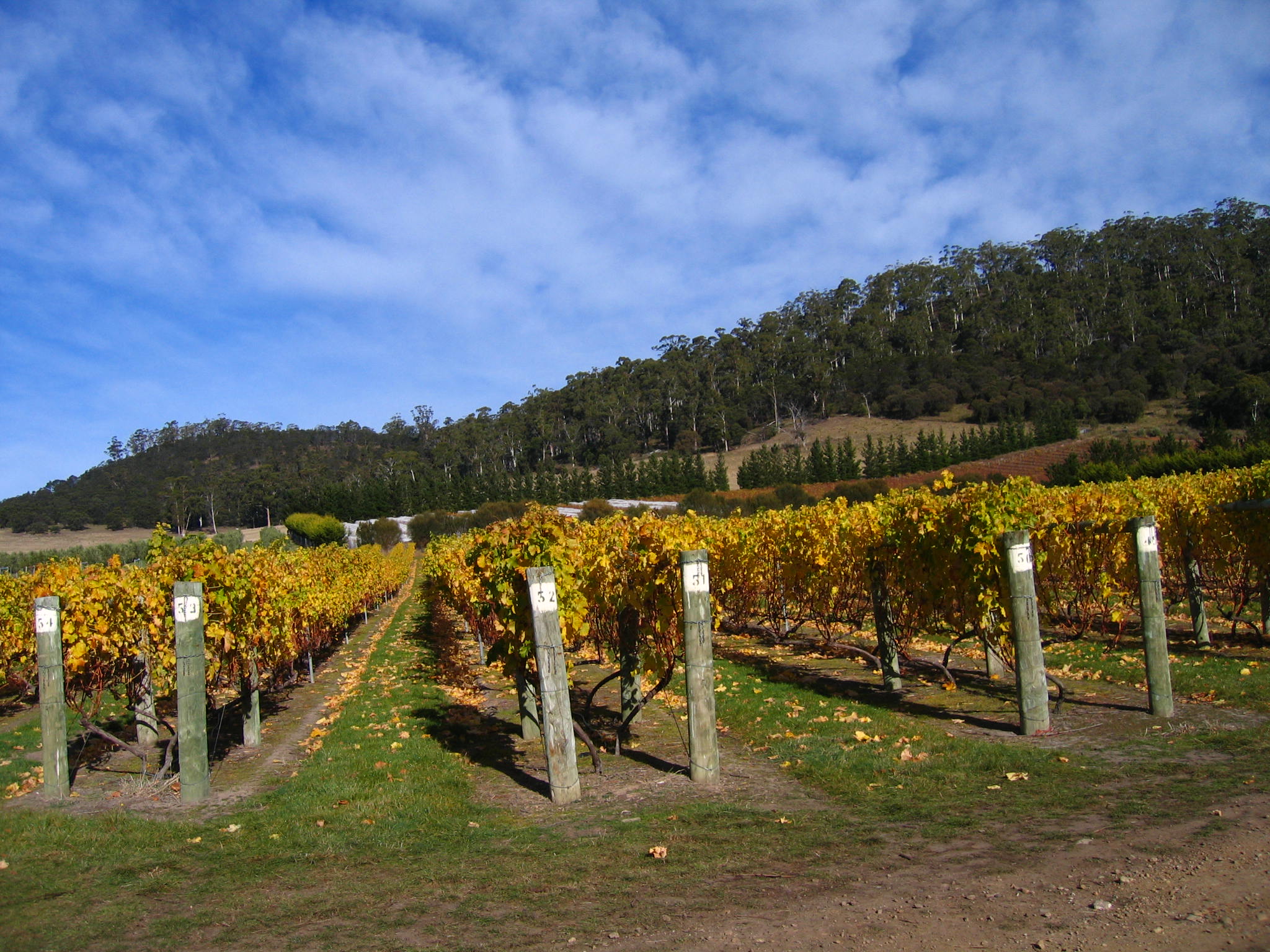 Bicheno - Tasmania - Australia