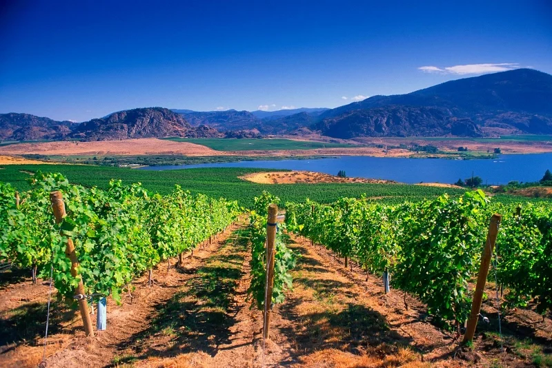 Okanagan Valley - British Columbia - Canada