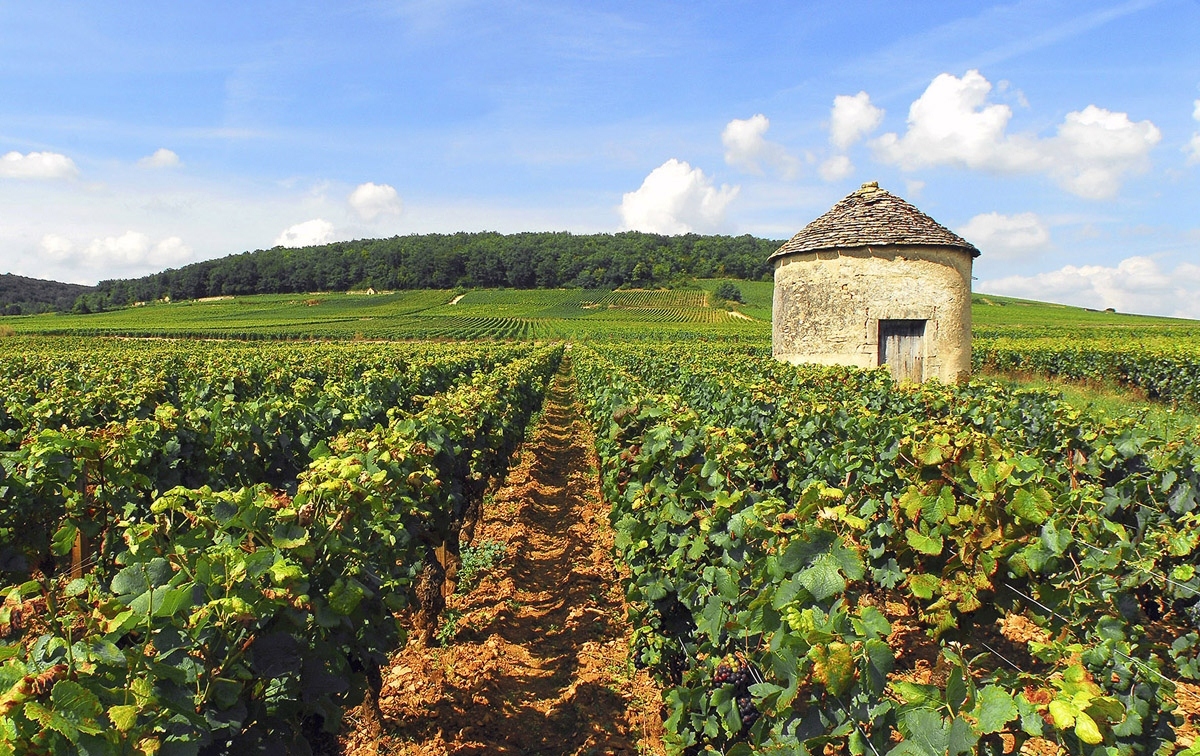 Bourgogne - France